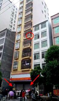 信宜最新爆料新闻,揭秘某重大事件背后真相  第2张